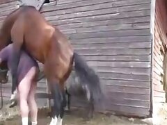 Stallion bestiality xxx