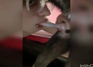 Geeky cocksucker tasting dog cock up close