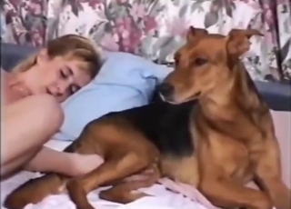 Brown dog wants to get busy with MILF pussy