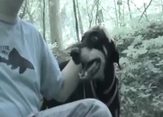 Zoophile dude is going to work on this hot mutt