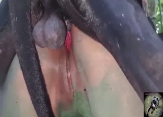 Sexy lady finds a spot in woods for dog fucking