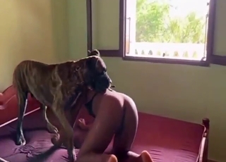 Zoophile lady is going to get fucked silly