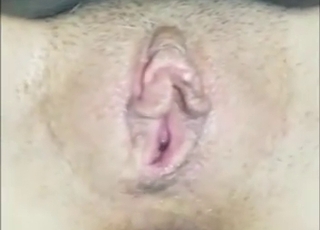 Great bestiality porn with a white dog fucking