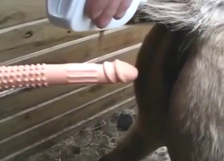 Dildo pleasure session with lots of toy play