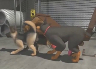 Zoophile porn with a bunch of sexy dogs fucking