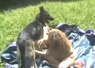 Outdoor zoo porn with a bunch of ladies FUKCING