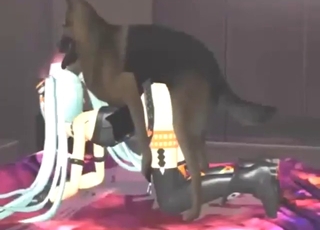 Alice the tight animated teen fucks a dog