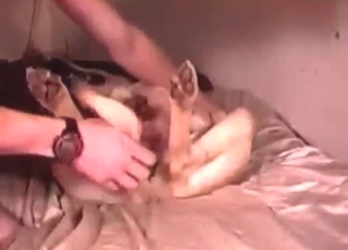 Missionary love with a sexy fucking mutt