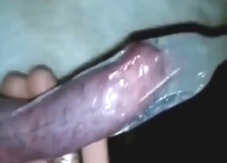 Guy with sexy facial hair wants dog's real jizz