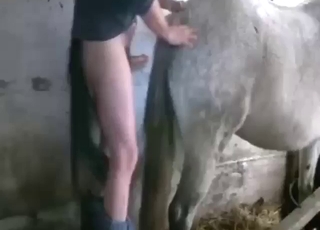 真实的动物园性爱视频显示，一个男人正在和那匹母马交配。
