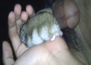 Hamster is way too small for his massive knob