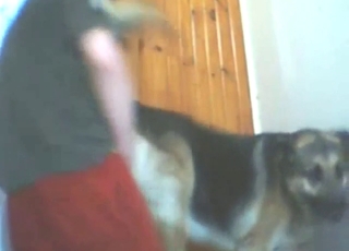 Dude puts his penis in a dog's wet pussy, hard