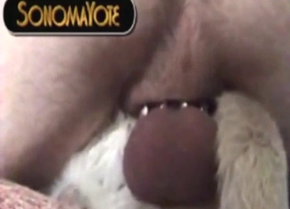 Anal domination session with a Lab cumming hard