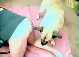 Animal banging that yokel in a hardcore porn vid